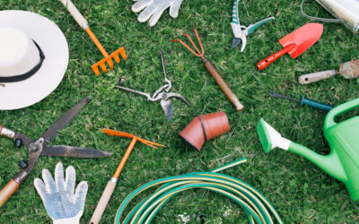 Herramientas y soluciones para disfrutar de tu jardín todo el año – Optimus Pineda