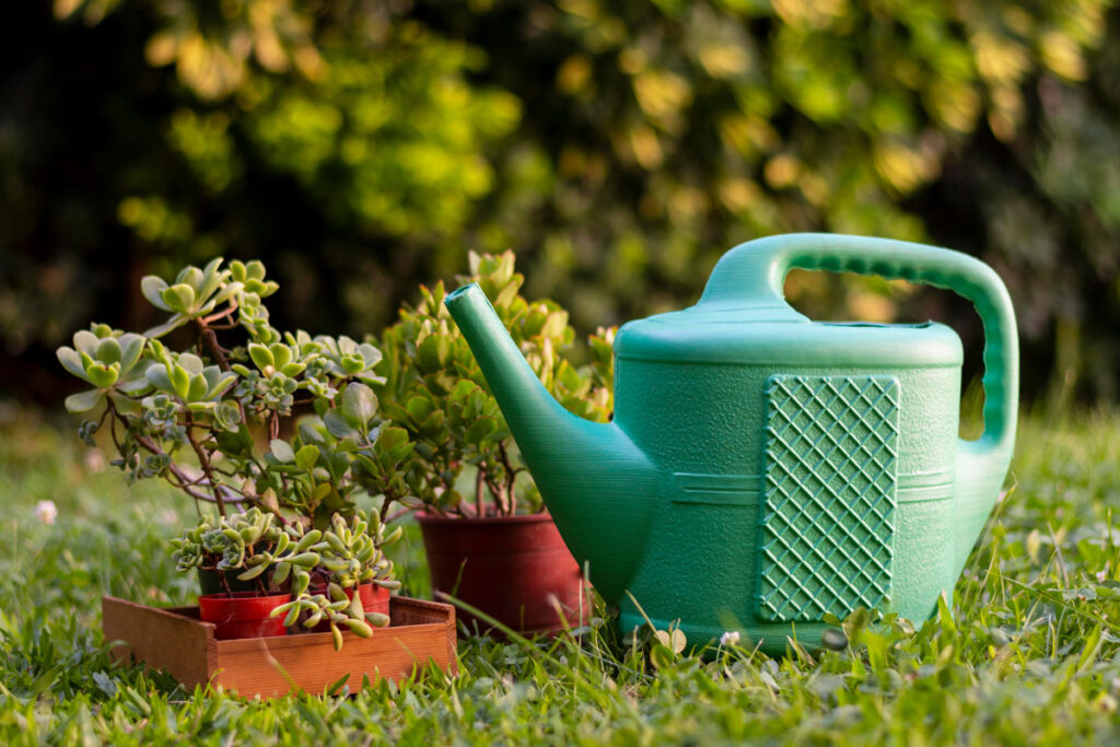 Jardinería